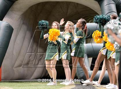 Thumbnail 3 in Amite vs. Livonia (LHSAA 3A Final) photogallery.