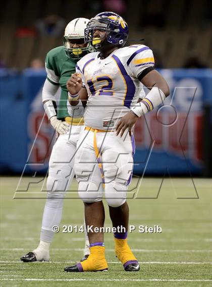 Thumbnail 3 in Amite vs. Livonia (LHSAA 3A Final) photogallery.