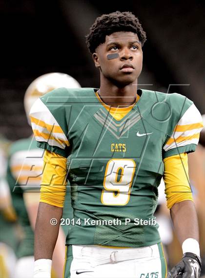 Thumbnail 1 in Amite vs. Livonia (LHSAA 3A Final) photogallery.