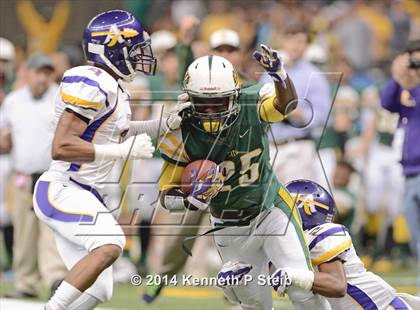 Thumbnail 3 in Amite vs. Livonia (LHSAA 3A Final) photogallery.
