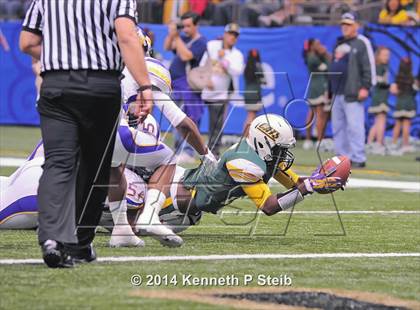 Thumbnail 1 in Amite vs. Livonia (LHSAA 3A Final) photogallery.