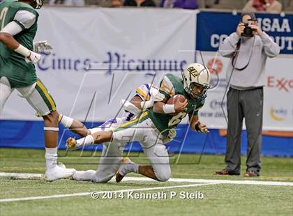 Thumbnail 3 in Amite vs. Livonia (LHSAA 3A Final) photogallery.
