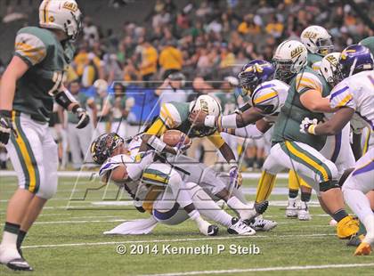 Thumbnail 1 in Amite vs. Livonia (LHSAA 3A Final) photogallery.