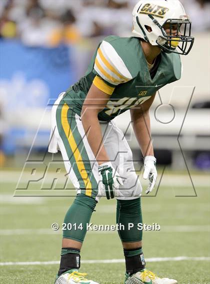 Thumbnail 1 in Amite vs. Livonia (LHSAA 3A Final) photogallery.