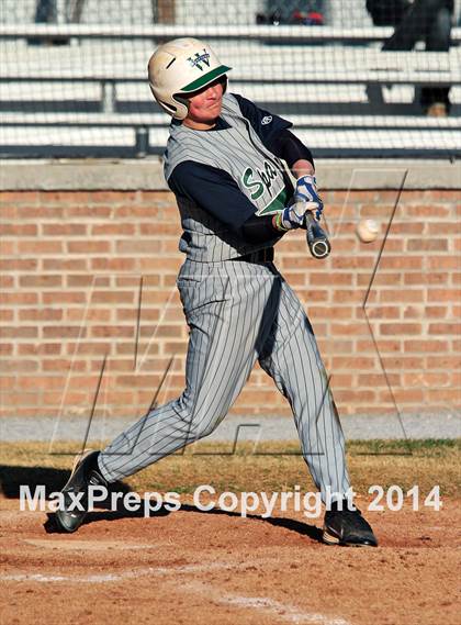 Thumbnail 1 in Webb @ South-Doyle photogallery.