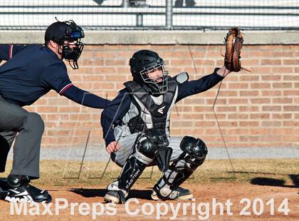 Thumbnail 3 in Webb @ South-Doyle photogallery.