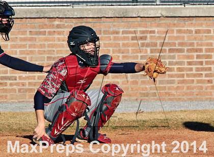 Thumbnail 1 in Webb @ South-Doyle photogallery.
