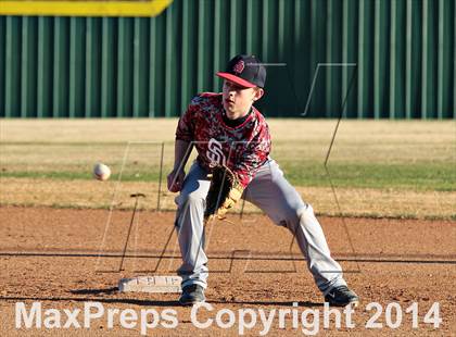Thumbnail 1 in Webb @ South-Doyle photogallery.