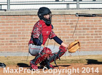 Thumbnail 2 in Webb @ South-Doyle photogallery.