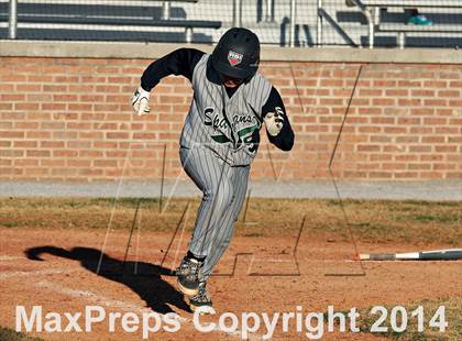Thumbnail 1 in Webb @ South-Doyle photogallery.