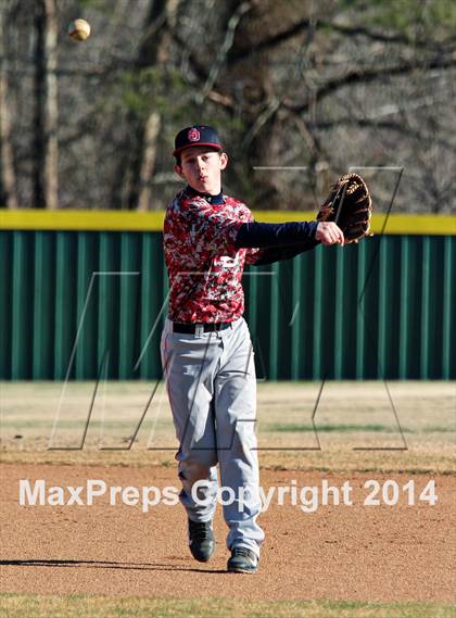 Thumbnail 3 in Webb @ South-Doyle photogallery.
