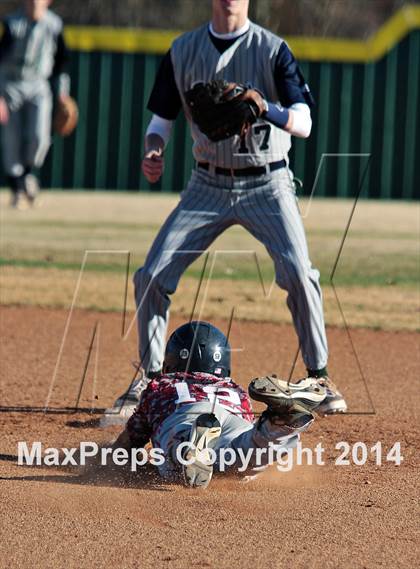 Thumbnail 1 in Webb @ South-Doyle photogallery.