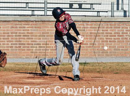 Thumbnail 1 in Webb @ South-Doyle photogallery.