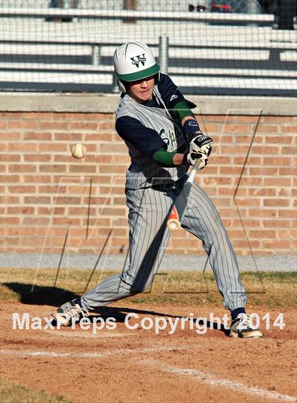 Thumbnail 1 in Webb @ South-Doyle photogallery.