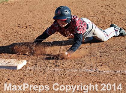 Thumbnail 2 in Webb @ South-Doyle photogallery.