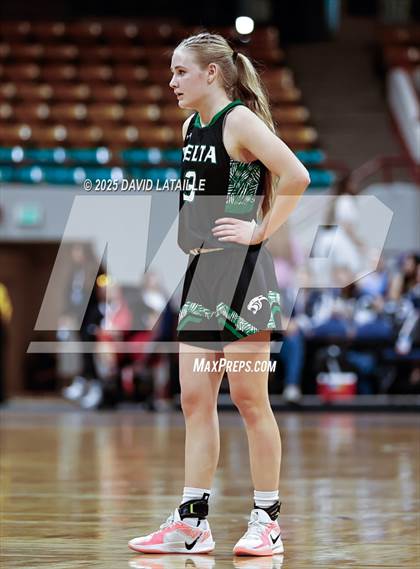 Thumbnail 1 in Timnath vs. Delta (CHSAA 4A Final 4) photogallery.