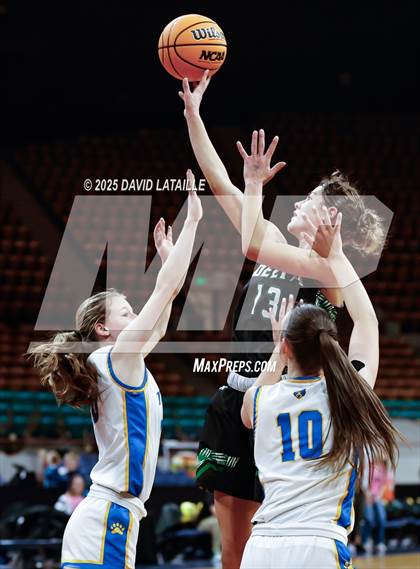 Thumbnail 1 in Timnath vs. Delta (CHSAA 4A Final 4) photogallery.