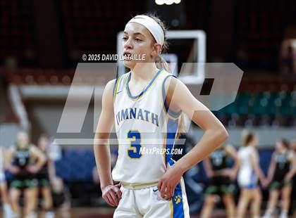 Thumbnail 1 in Timnath vs. Delta (CHSAA 4A Final 4) photogallery.