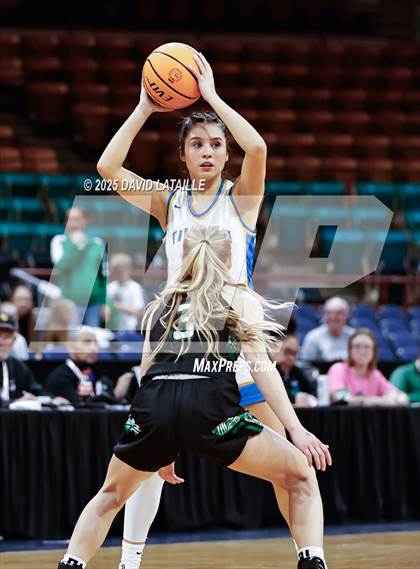 Thumbnail 3 in Timnath vs. Delta (CHSAA 4A Final 4) photogallery.