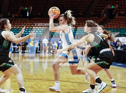 Thumbnail 3 in Timnath vs. Delta (CHSAA 4A Final 4) photogallery.