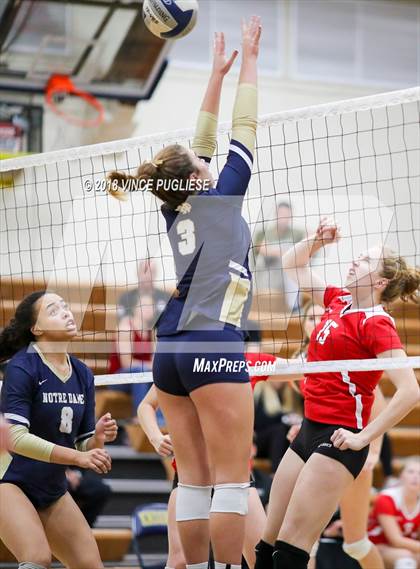 Thumbnail 2 in San Clemente @ Notre Dame (SO) (CIF State D1 Playoffs) photogallery.