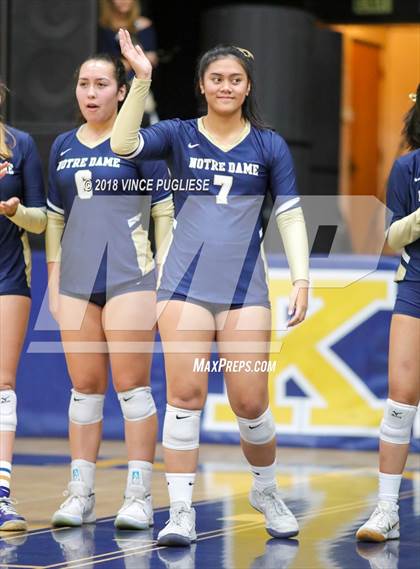 Thumbnail 1 in San Clemente @ Notre Dame (SO) (CIF State D1 Playoffs) photogallery.