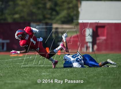 Thumbnail 2 in Centereach @ Bellport photogallery.