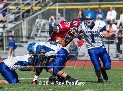 Thumbnail 3 in Centereach @ Bellport photogallery.