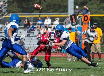 Thumbnail 1 in Centereach @ Bellport photogallery.