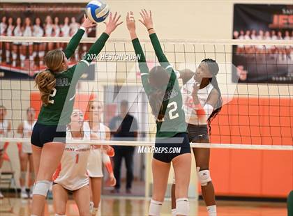 Thumbnail 1 in Chaparral @ Saint Joseph (CIF-SS D3 Playoffs) photogallery.