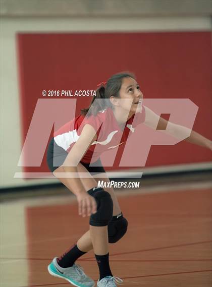 Thumbnail 2 in Burroughs vs Arcadia photogallery.
