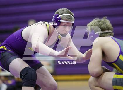 Thumbnail 3 in Williamsville @ Monticello photogallery.
