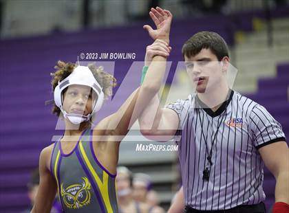 Thumbnail 1 in Williamsville @ Monticello photogallery.