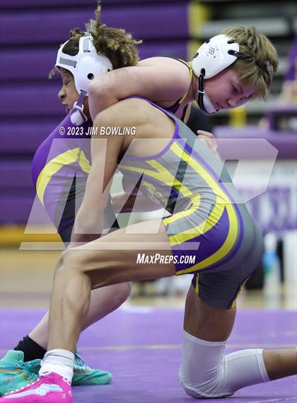 Thumbnail 1 in Williamsville @ Monticello photogallery.