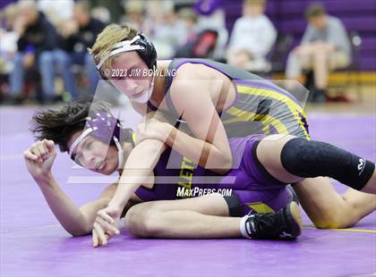Thumbnail 1 in Williamsville @ Monticello photogallery.