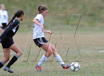 Thumbnail 2 in Plainfield @ Woodland (CIAC Class M 2nd Round) photogallery.