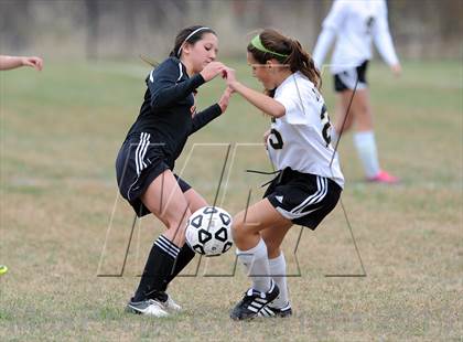 Thumbnail 1 in Plainfield @ Woodland (CIAC Class M 2nd Round) photogallery.