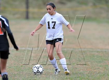 Thumbnail 1 in Plainfield @ Woodland (CIAC Class M 2nd Round) photogallery.