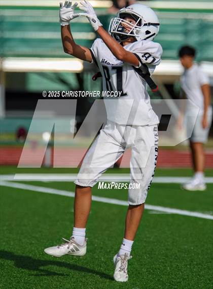 Thumbnail 2 in JV: Braden River @ Lakewood Ranch photogallery.