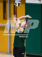 Photo from the gallery "Alhambra @ Basha"