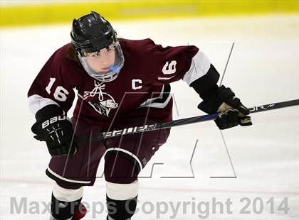 Thumbnail 3 in North Haven @ Daniel Hand photogallery.