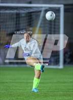 Photo from the gallery "Pine View @ Highland"