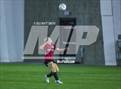 Photo from the gallery "Pine View @ Highland"