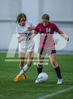 Photo from the gallery "Pine View @ Highland"