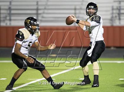 Thumbnail 3 in Mansfield @ Cedar Hill photogallery.
