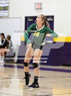 Photo from the gallery "Sonora @ Bret Harte"
