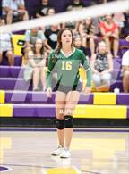 Photo from the gallery "Sonora @ Bret Harte"