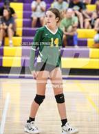 Photo from the gallery "Sonora @ Bret Harte"