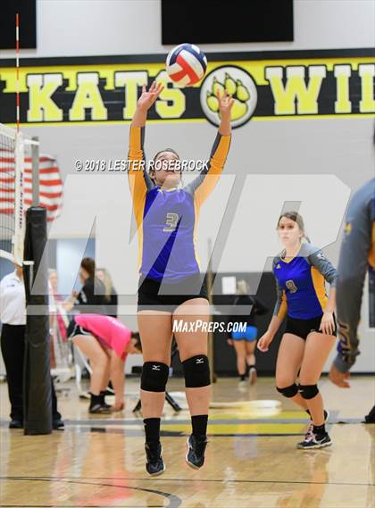 Thumbnail 1 in Bloomington vs Louise (Yorktown South Texas Showdown) photogallery.