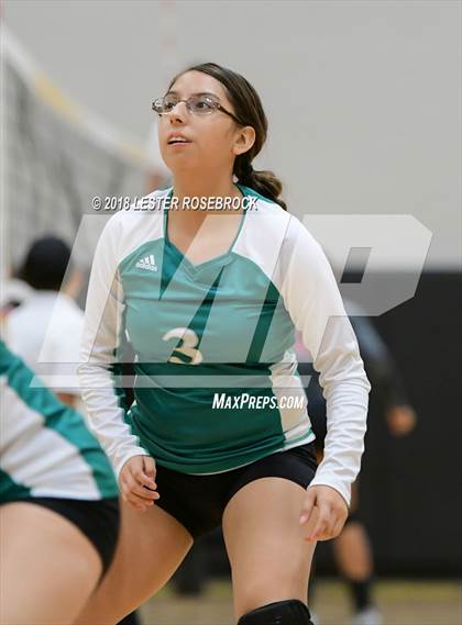 Thumbnail 2 in Bloomington vs Louise (Yorktown South Texas Showdown) photogallery.